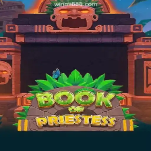 Discover the Mystical World of BookOfPriestess on WINMI.com: The Premier Online Slots Platform in Brazil